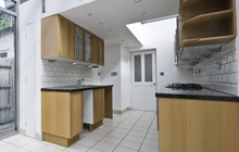 Bessbrook kitchen extension leads